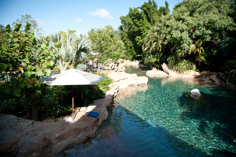 Discovery Cove Discovery Cove, Sea World, Florida, Orlando, Dolphins, Swim, Park, Beach, Lazy, River, Relaxed, Scenery, Landscape,