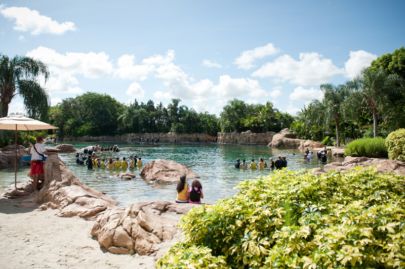 Discovery Cove Discovery Cove, Sea World, Florida, Orlando, Dolphins, Swim, Park, Beach, Lazy, River, Relaxed, Scenery, Landscape, Swimming, Experience, Dolphin Swim, Ocean, Pool, lagoon
