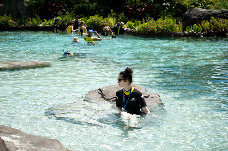 Discovery Cove Discovery Cove, Sea World, Florida, Orlando, Dolphins, Swim, Park, Beach, Lazy, River, Relaxed, Scenery, Landscape, Water, Ocean,