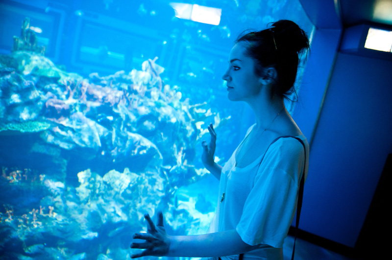 Epcot Epcot, Disney, Disneyland, Walt Disney, Florida, Disney World, Aquarium, Coral, The Living Seas, The Seas, Nemo & Friends, Fish