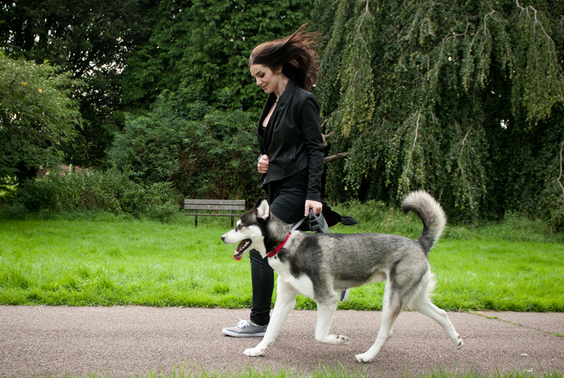 FAIIINT, Keds, Sneakers, Leather, Jacket, Jeans, Printed, Running, Outfit, Husky, Puppy, Walk, Walkies, Barneys Originals, Black, All Black, Draped, Asymmetric, Tank, Top