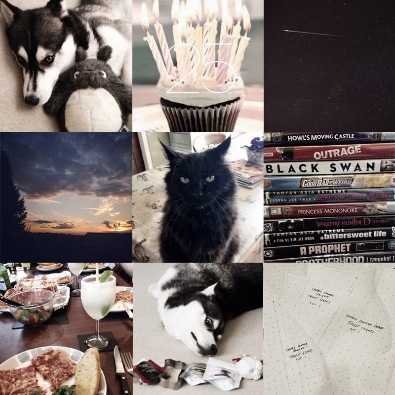 FAIIINT instagram collage, my week, lately, recently, siberian husky, shooting star, meteor, dvds, movies, black cat, norwegian forest cat, sunset, birthday, cupcake