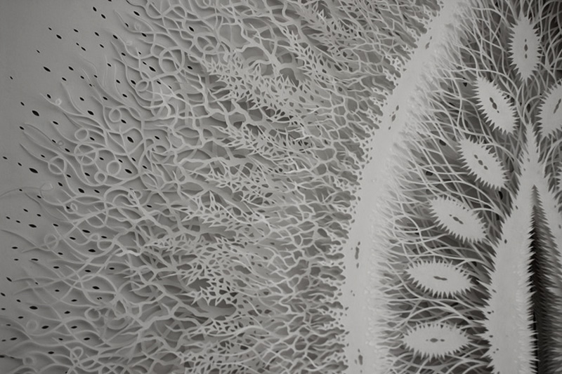 Rogan Brown Paper Sculptures Cut Pod Intricate Cut Out Designs Geometric Organic Symmetrical Art