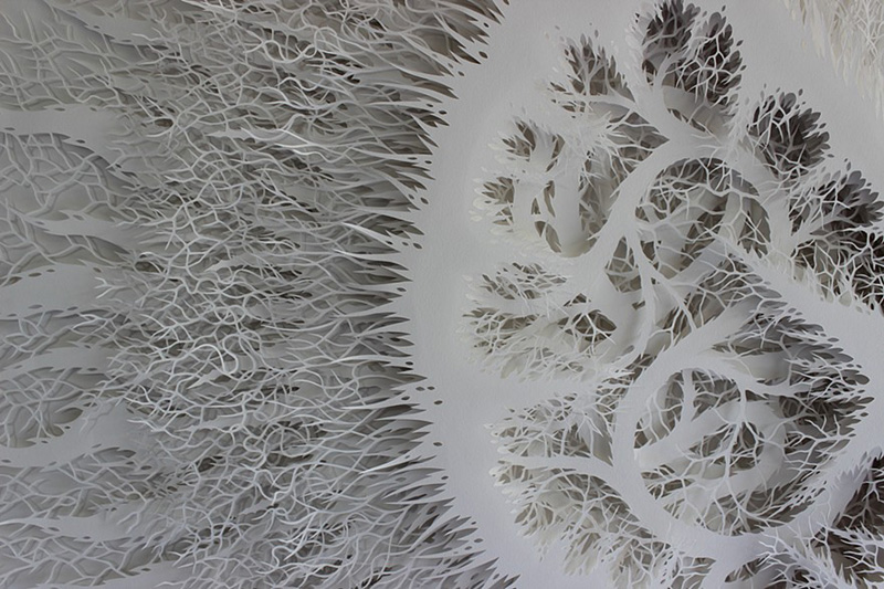 Rogan Brown Paper Sculptures Kernel Intricate Cut Out Designs Geometric Organic Symmetrical Art
