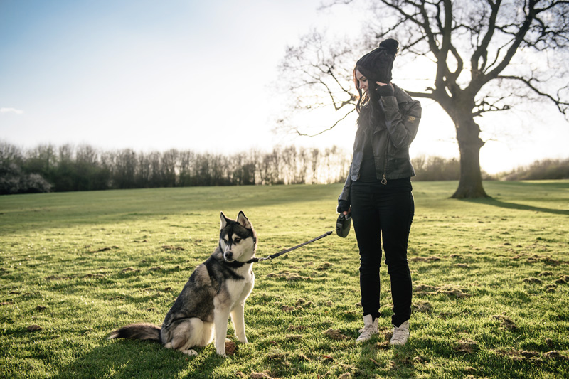 Fashion blogger Stephanie of FAIIINT wearing Belstaff waxed sammy miller jacket, Meltin Pot jeans, white leather Converse high tops, Knitted beanie to walk Nico the Siberian Husky dog in the park at sunset.