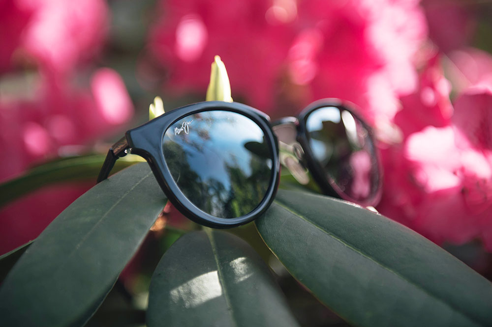 FAIIINT Maui Jim Kolohe sunglasses on pink flowers