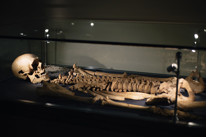 FAIIINT York weekend break. Yorkshire Museum human skeleton.
