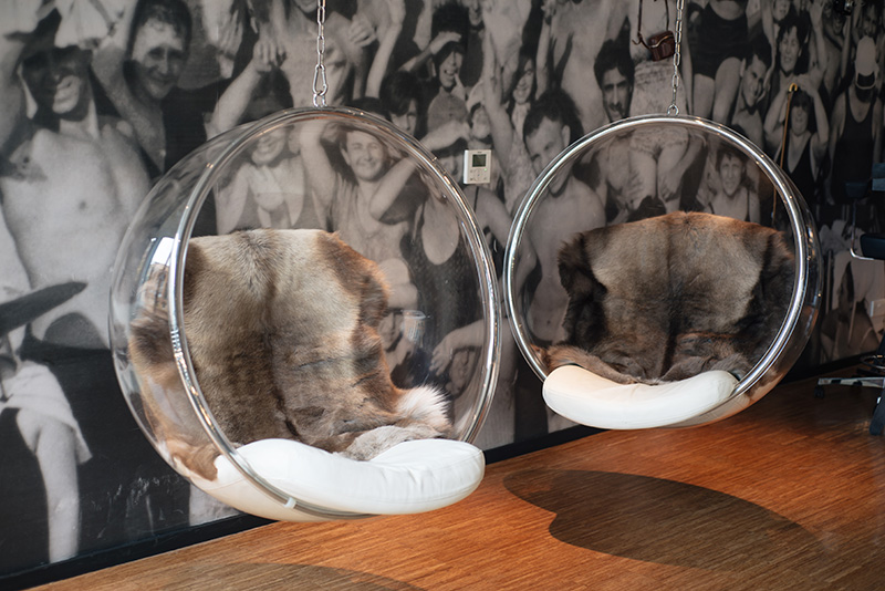 Citizen M Hotel Glasgow lounge area chairs