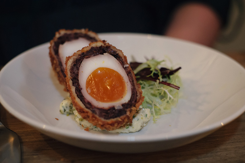 FAIIINT The Gannet Glasgow Champagne Sundays. Black pudding scotch duck egg.