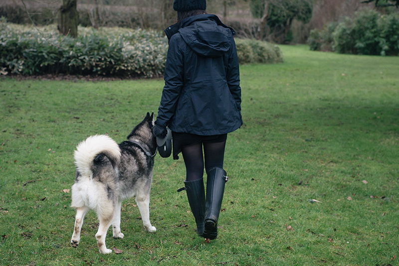 Fashion blogger Stephanie of FAIIINT with husky dog Nico wearing OASAP pom pom beanie, The North Face Evolution TriClimate 3 in 1 jacket, H&M asymmetric jumper, Hunter wellington boots, Topshop faux fur handwarmers. All black everything dark style winter dog walking outfit.