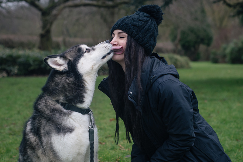Fashion blogger Stephanie of FAIIINT with husky dog Nico wearing OASAP pom pom beanie, The North Face Evolution TriClimate 3 in 1 jacket. Dog kissing licking face.