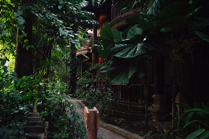 Sokhalay Angkor Villa Resort in Siem Reap Cambodia, pathway through the forest with tropical plants.