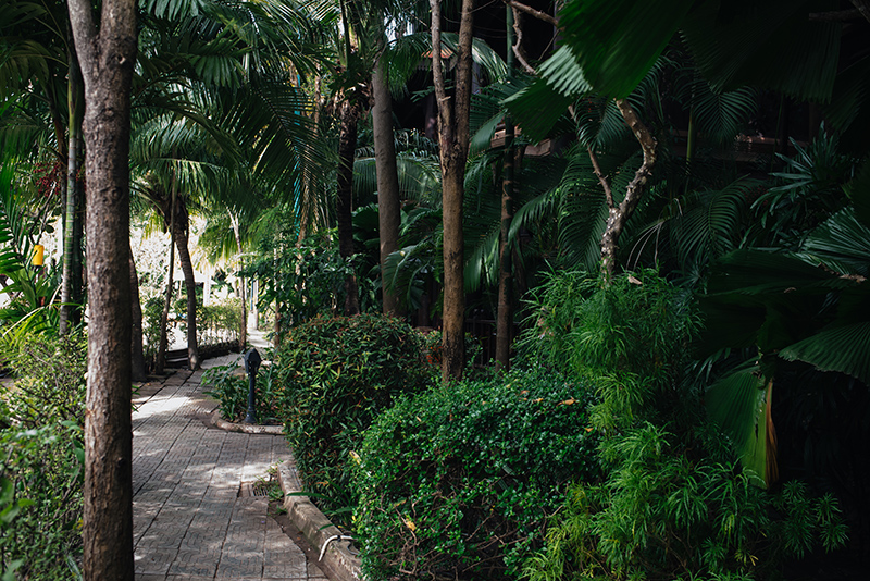 Sokhalay Angkor Villa Resort in Siem Reap Cambodia, pathway through the trees.