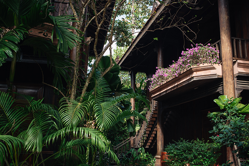 Sokhalay Angkor Villa Resort in Siem Reap Cambodia, tropical trees and flowers.