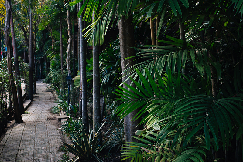 Sokhalay Angkor Villa Resort in Siem Reap Cambodia, path through the trees.