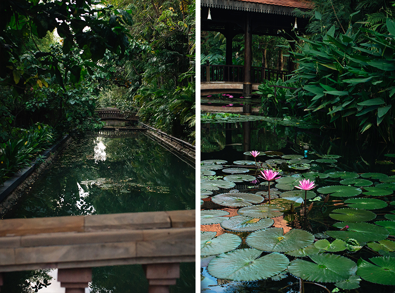 Sokhalay Angkor Villa Resort in Siem Reap Cambodia, bridge over pond water with lily pads and flowers.