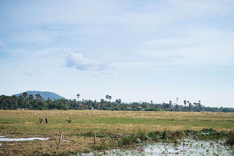 Countryside landscape in Siem Reap Cambodia.