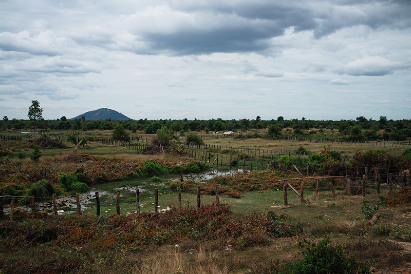 Countryside landscape in Siem Reap Cambodia, fields and Kulen mountain.