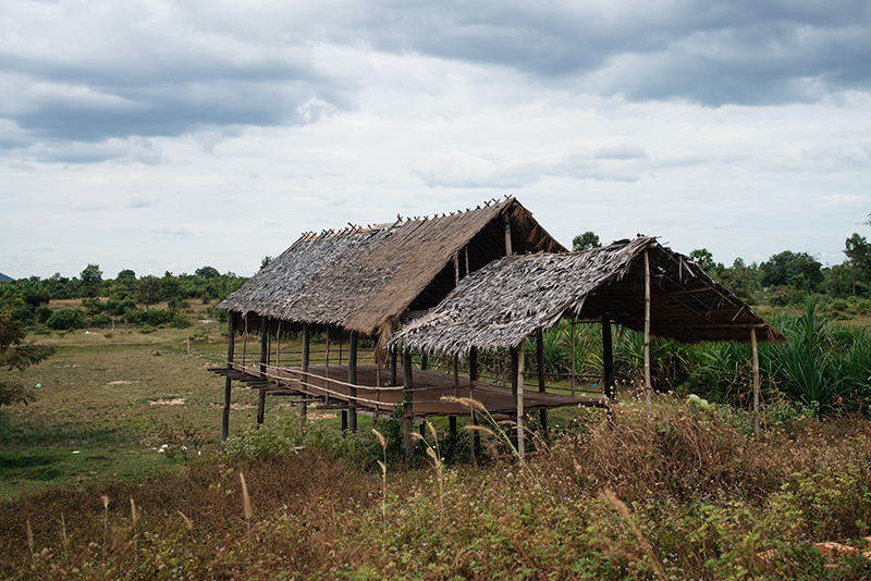 Countryside landscape in Siem Reap Cambodia wooden shack shelter.