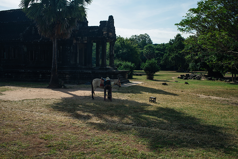 Man with horse at Angkor Wat temple complex Siem Reap Cambodia.