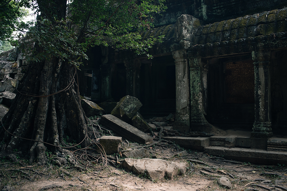 Ta Prohm temple Siem Reap Angkor Cambodia. Crumbling ruins reclaimed by nature and overgrown with trees and plants.