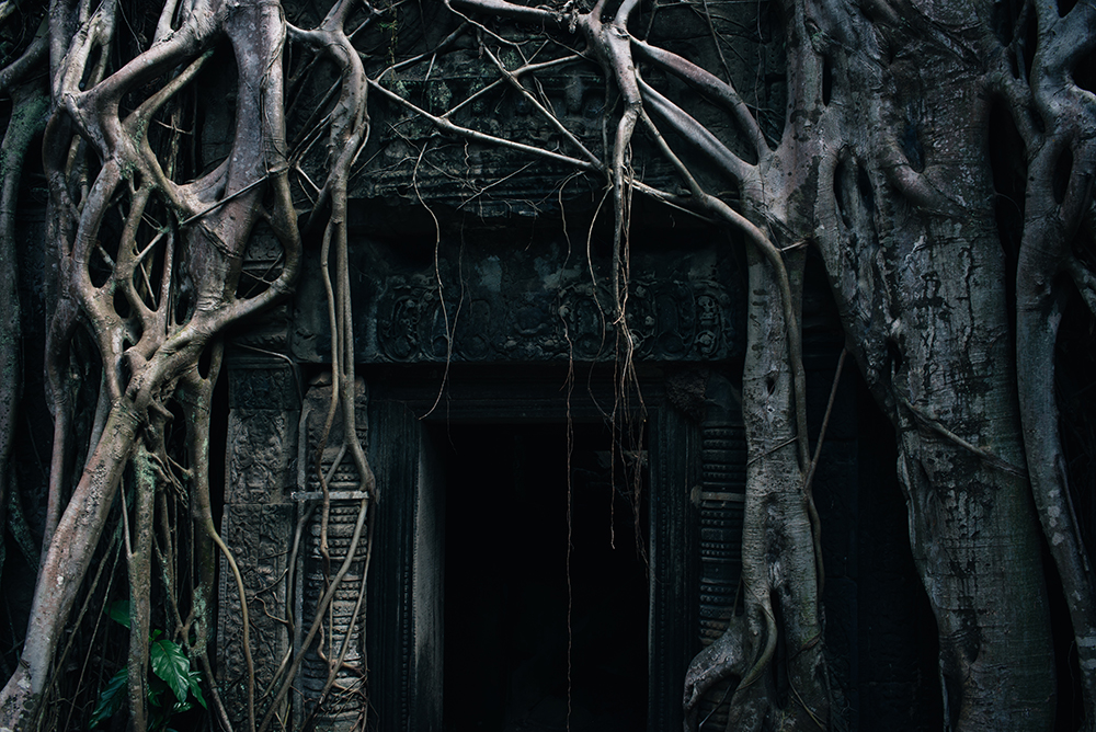 Ta Prohm temple doorway Siem Reap Angkor Cambodia. Crumbling ruins reclaimed by nature and overgrown with trees and roots.