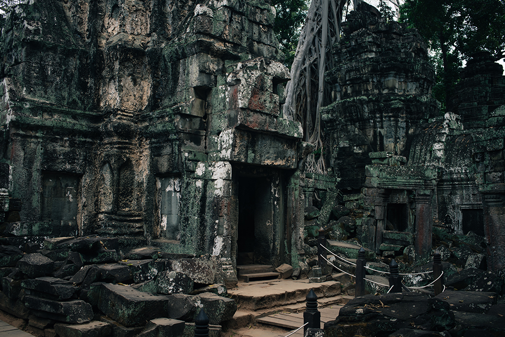 Ta Prohm temple Siem Reap Angkor Cambodia. Crumbling ruins reclaimed by nature and overgrown with trees and roots.