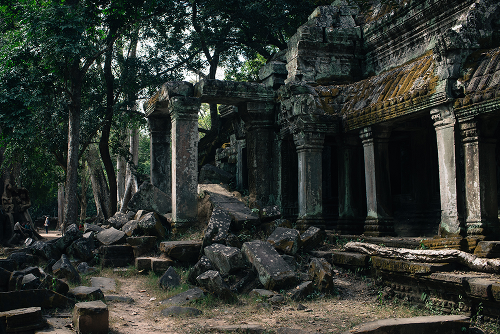Ta Prohm temple Siem Reap Angkor Cambodia. Crumbling ruins reclaimed by nature and overgrown with trees and plants.