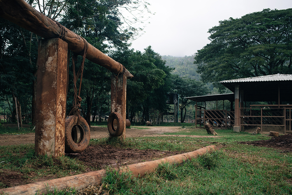 Elephant Nature Park rescue and sanctuary Chiang Mai Thailand.