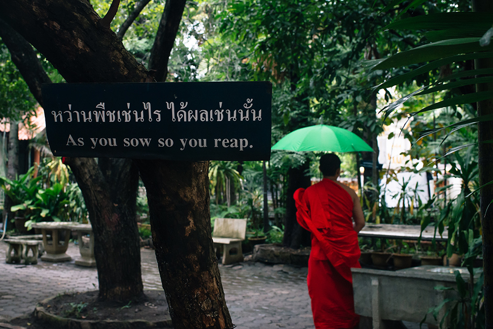 Wat Phra Singh monk with umbrella at temple, Chiang Mai Thailand.