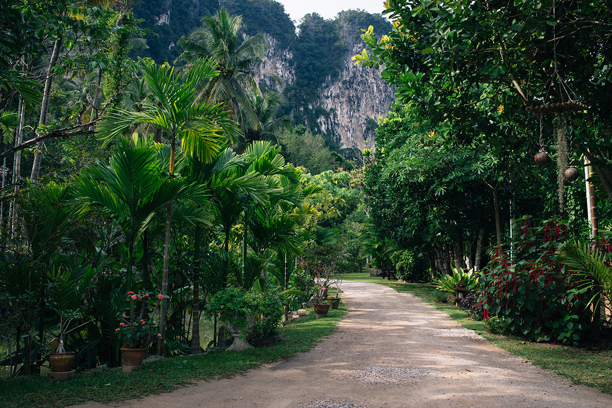 Ban Sainai Resort garden Ao Nang Krabi Thailand