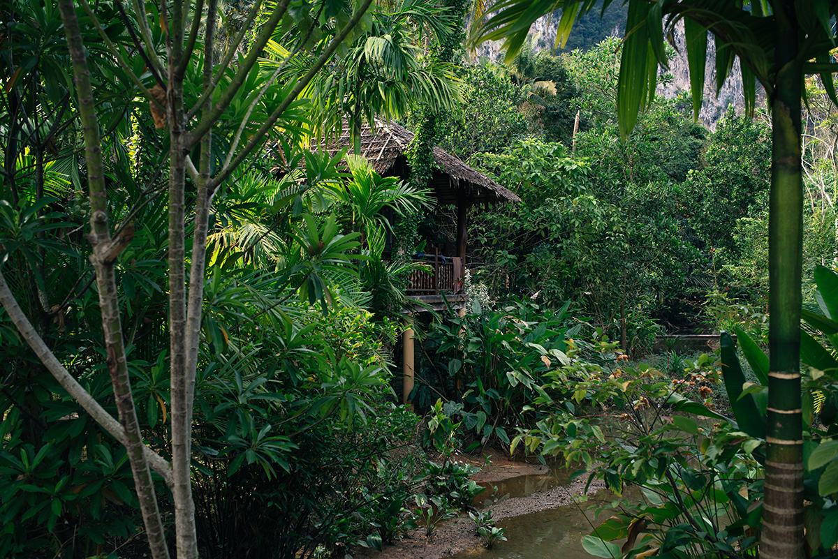 Ban Sainai Resort cottage hidden amongst trees Ao Nang Krabi Thailand