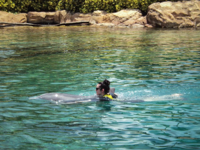 533129_10150970079171256_351425019_n_2 Discovery Cove, Sea World, Florida, Orlando, Dolphins, Swim, Park, Beach, Lazy, River, Relaxed, Scenery, Landscape, Swimming, Experience, Dolphin Swim, Ocean