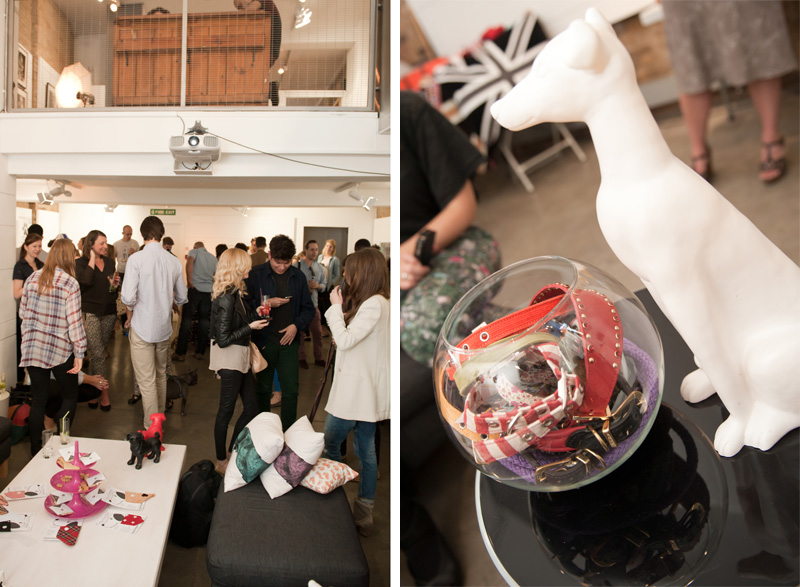 PetsPyjamas Fashion Blogger Puppy Party, Event co-hosted by Rosie Fortescue & noodle