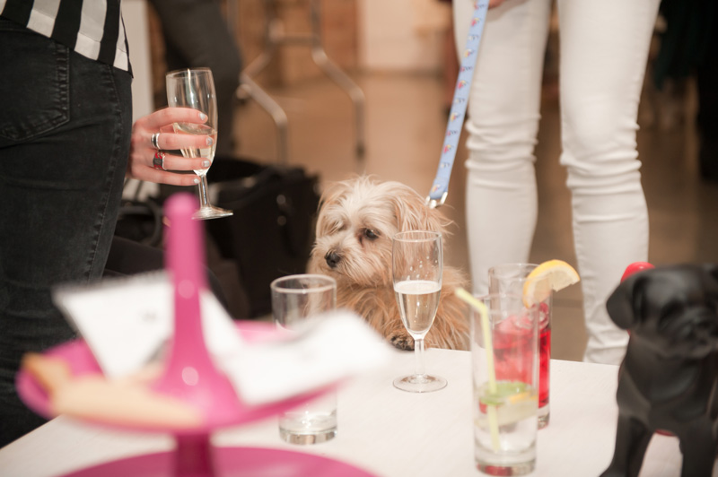 PetsPyjamas Fashion Blogger Puppy Dog Party