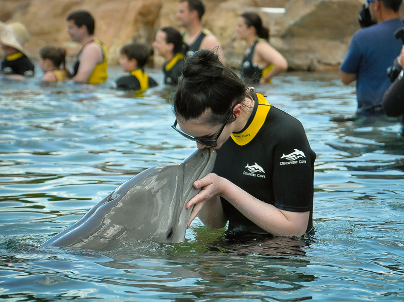 IMG_0010_2 Discovery Cove, Sea World, Florida, Orlando, Dolphins, Swim, Park, Beach, Lazy, River, Relaxed, Scenery, Landscape, Kissing, Bottlenose, Dolphin, Experience, Swimming with Dolphin, Ocean