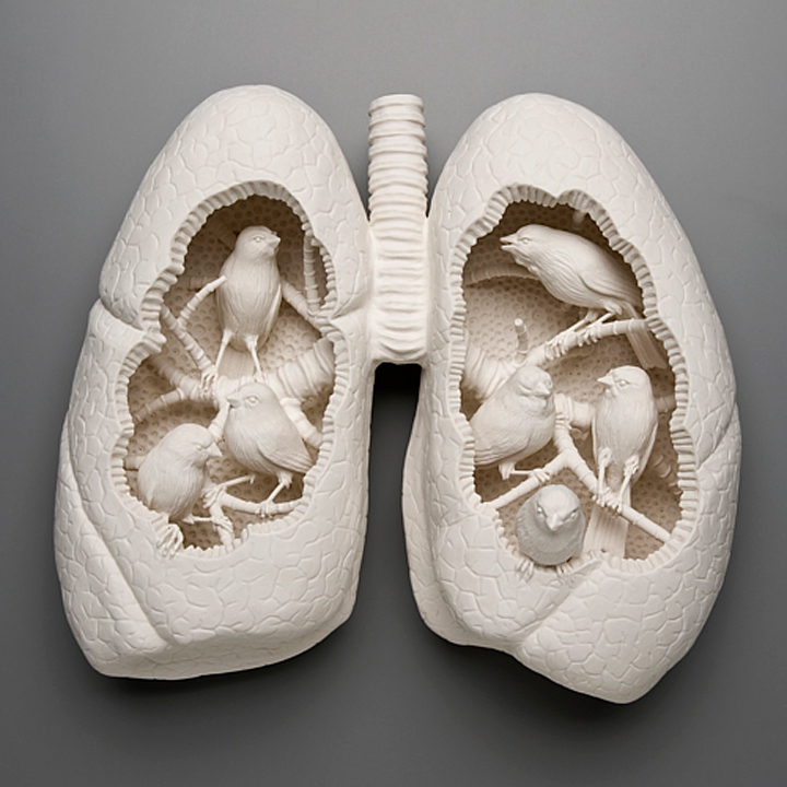 Kate MacDowell, Canary, Lungs, porcelain, Glaze, White, Delicate, Fragile, Beautiful, Handcrafted, Art, Sculpture, Macabre, Nature, Anatomy, dissected, dissection, Human, Birds, Hand Built, Haunting, China,