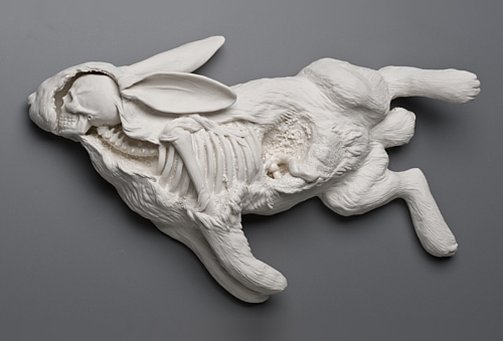 Kate MacDowell, Rabbit, Casualty, Skeleton, Skull, Insides, Dead, porcelain, Glaze, White, Delicate, Fragile, Beautiful, Handcrafted, Art, Sculpture, Macabre, Nature, Anatomy, Human, Hand Built, Haunting, China,