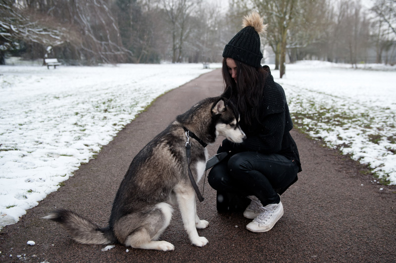 Fashion Blogger FAIIINT wearing AllSaints chunky draped knitted wrap cardigan, Nelly fur pom pom beanie, Topshop Asymmetric top, Topshop Unique coated jeans, white leather Converse hi-tops. Black outfit in the snow, snowing in the park with Siberian Husky puppy Nico.