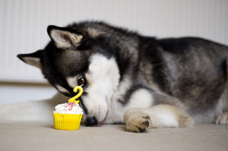 Happy 2nd Birthday Nico!